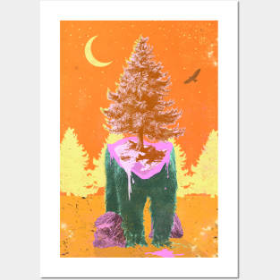 TREE BEAR Posters and Art